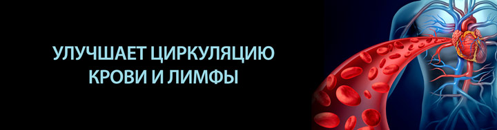 11cgn1203_720primenenie.jpg 11cgn1203_720primenenie.jpg